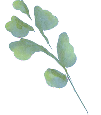 Two leaves symbolize the diffence between coaching and therapy