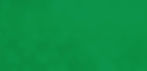 bg-verde2.jpg