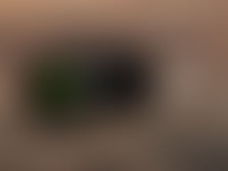 Spotify testa novidade nos perfis e fica com cara de rede social