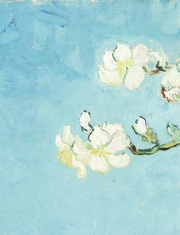 almond blossosmallm.png