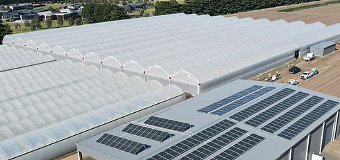 Home page greenhouse_edited.jpg