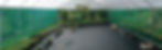 Arch Plastic roof shade sides Weedmat flooring.JPG