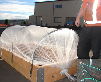 raised garden with bungee.JPG