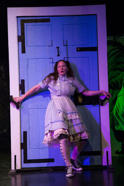 Alice in Wonderland