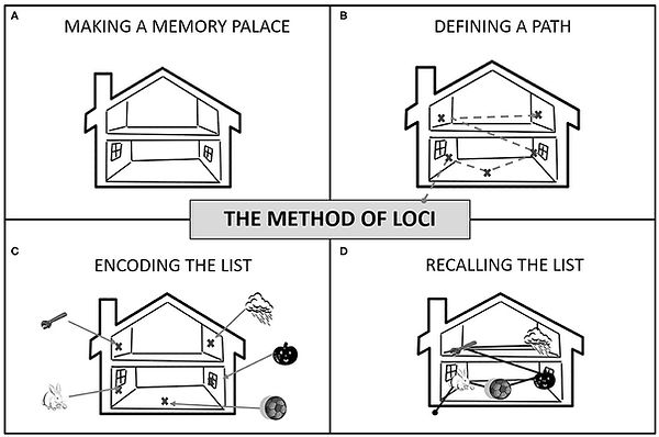 Loci.jpg