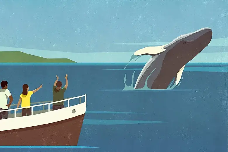 The São Jorge Whale-Watchers