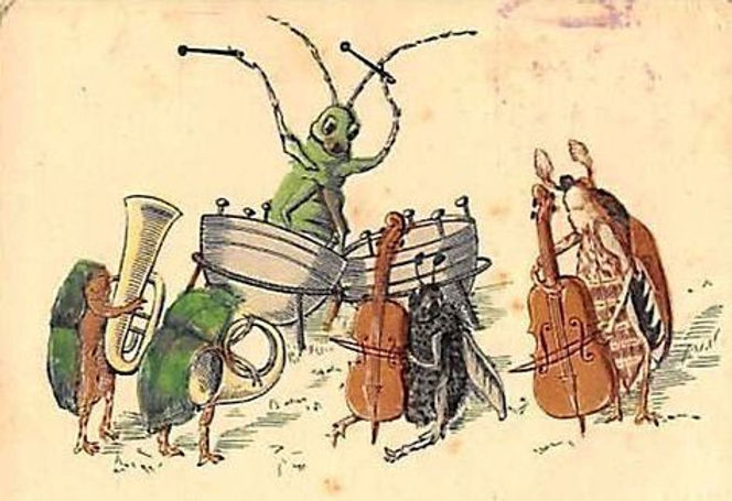 Crickets by Moonlight
