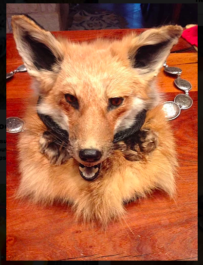 For the Foxy Gentleman