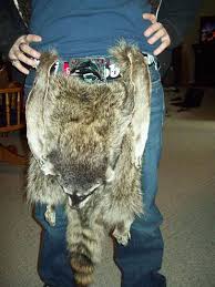 Rocky Raccoon