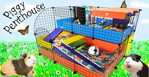 Scurry on over for just the right habitat for your herd of one or muddle of many!