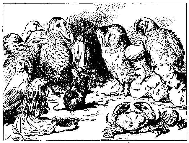 guineapigsalice
