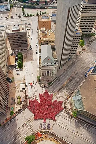 Maple Leaf Rant
