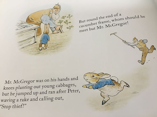 In Mr. McGregor's Garden