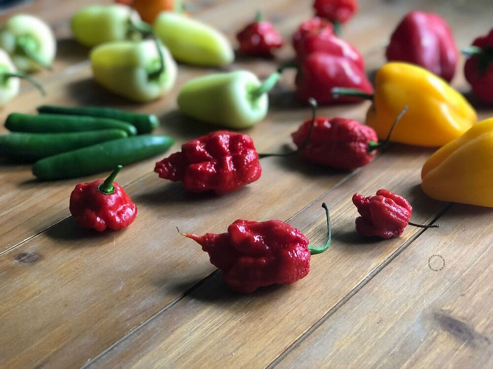 Chili Peppers