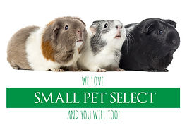 Small Pet Select delivers the freshest hay, as well as food, bedding, snacks, and more for rabbits, guinea pigs, hamsters, and other small animals. Locations in the USA and UK!