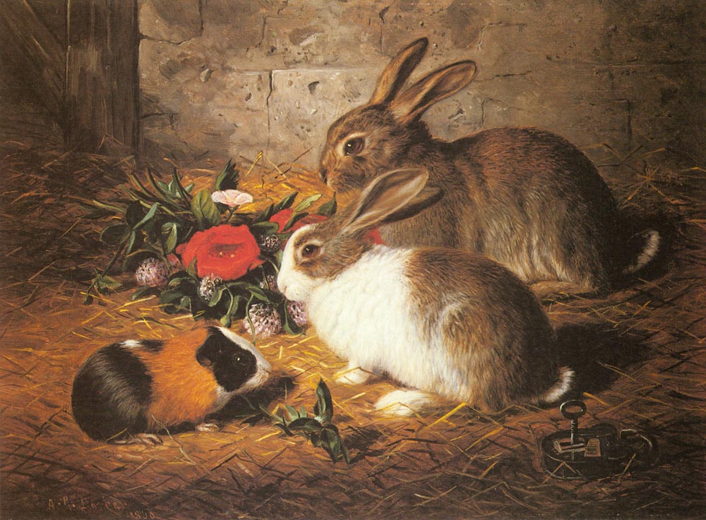 Escaped: Two Rabbits and a Guinea Pi