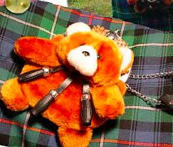 Teddy Bear Taxidermy