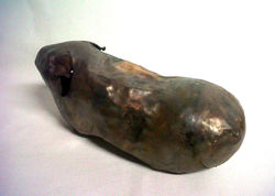 Copper Guinea Pig