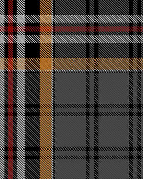 Unidentified Fashion