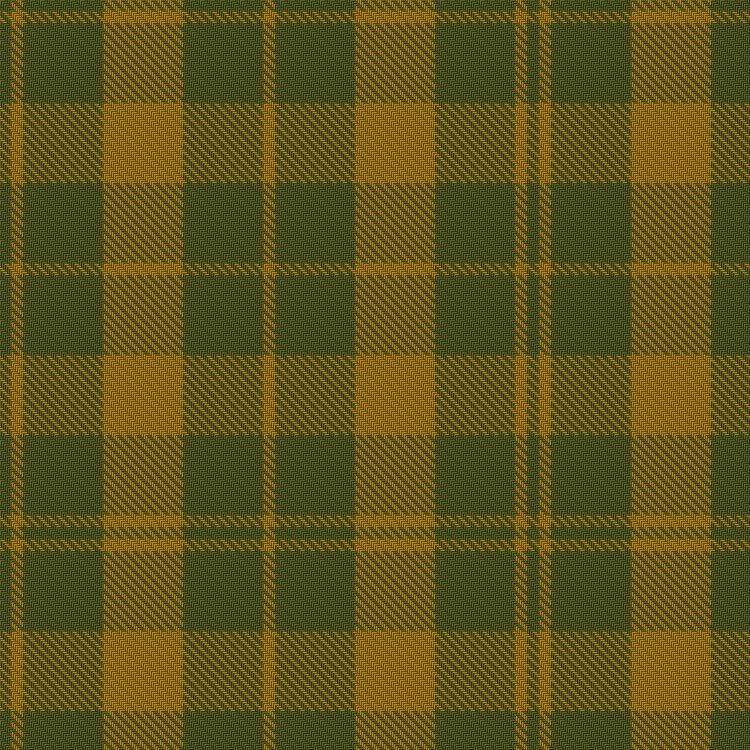 Barbie's Moss Plaid