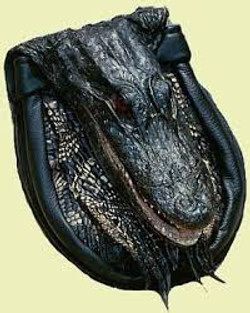 Gator or Croc Appeal - Smile!