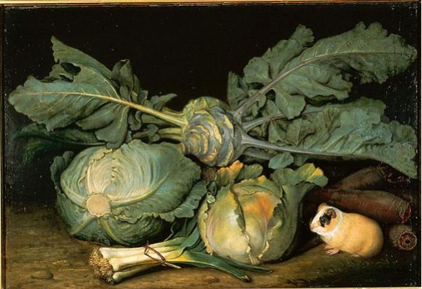 jacob-samuel-beck-still-life-with-cabbage-and-guinea-pig-1371390678_b