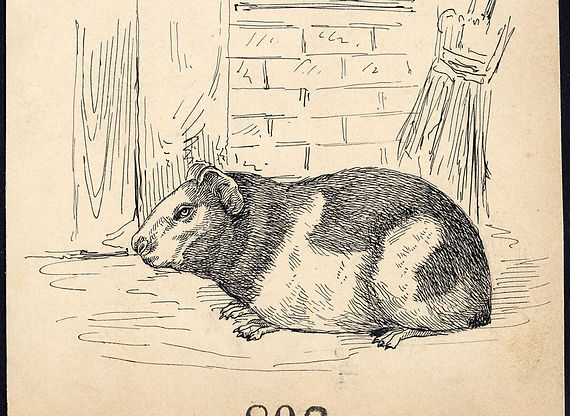 Jan_van_Kessel_I_-_Stilleven_met_vruchte