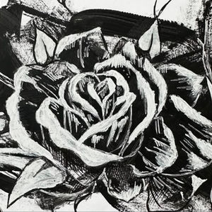 Untitled Rose