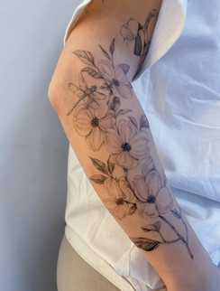 dragonfly-dogwood.jpeg