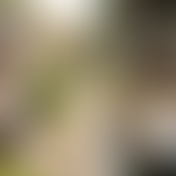 Mental Health vs. Mental Toughness: Why You (creatives) Need Both to Build the Life of Your Dreams