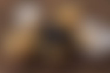 Moon in Aquarius,The Water Bearer's Transit