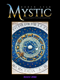 NSMA MASTER LOGO2.png