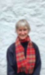 Genealogy Consultation