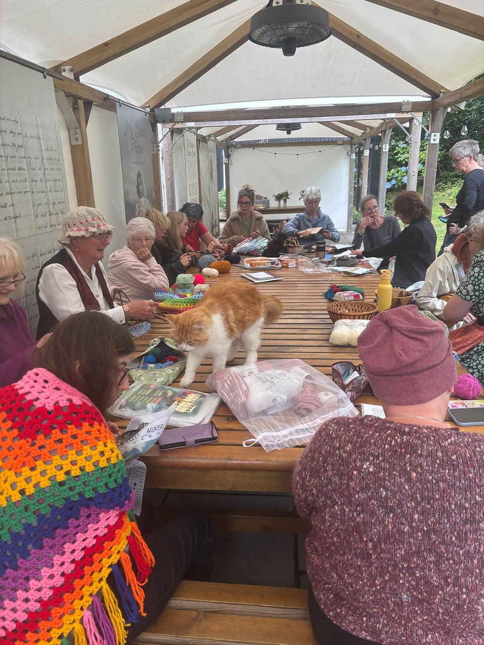 Stitch & Spin group meeting supported by new head practioner Howie of Dunollie, the museum cat.