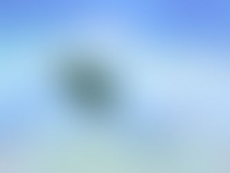 From A Fighter To A Seeker – I