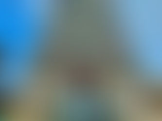 Sringeri Sri Sharada Peetham