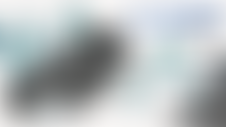 Escuchá "El Colectivo" del 31 de Marzo