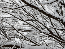 Esos días de nieve