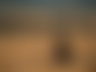 El asesinato de Abel Chaneton