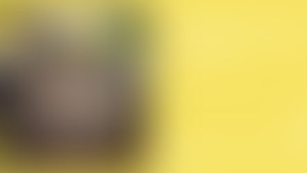 Especial de canciones para Malvinas