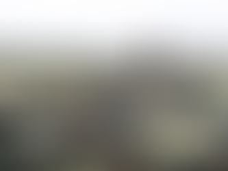 ¿Qué temita el de Malvinas, no?