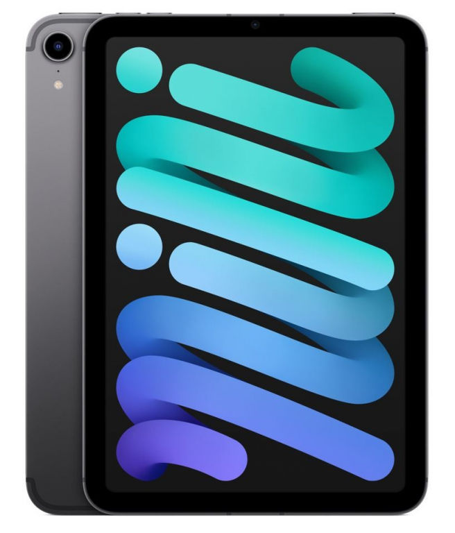 Apple iPad mini Wi-Fi 64GB - Space Grey