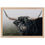 Thumbnail: Misty Morning Highland Bull Premium Wood Frame