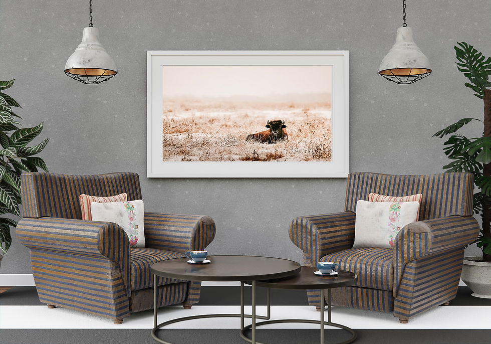 Thumbnail: Resting Bison