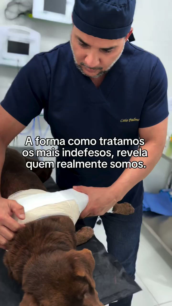 pet._.center_1783469345_3936348045757856072_45458782060.mp4