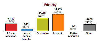 Valencia Student Ethnicity Spring 2017