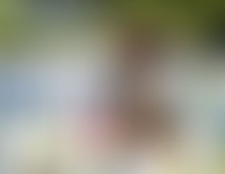 Honoring a Hero: One Widow's Journey of Strength, Service, and Sacrifice