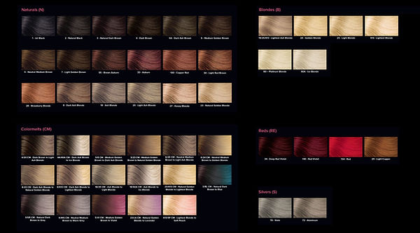 HAIR COLOR EXAMPLES.jpg