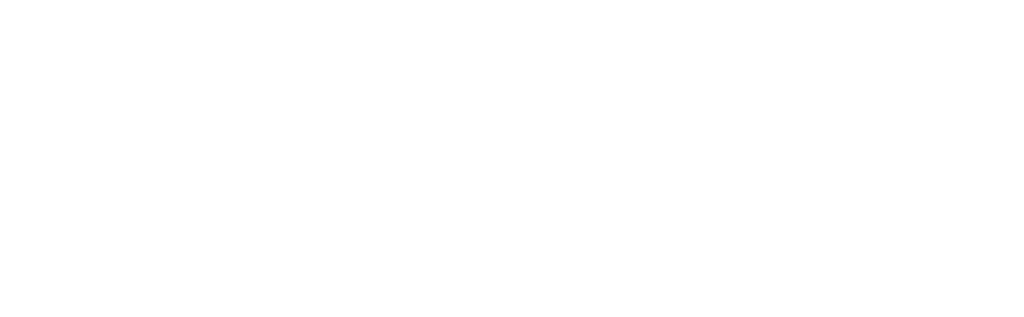 Ziba Agency - Logo - White.png