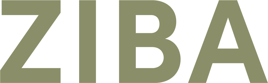 Ziba Agency / Brand, marketing and media agency / property branding and marketing